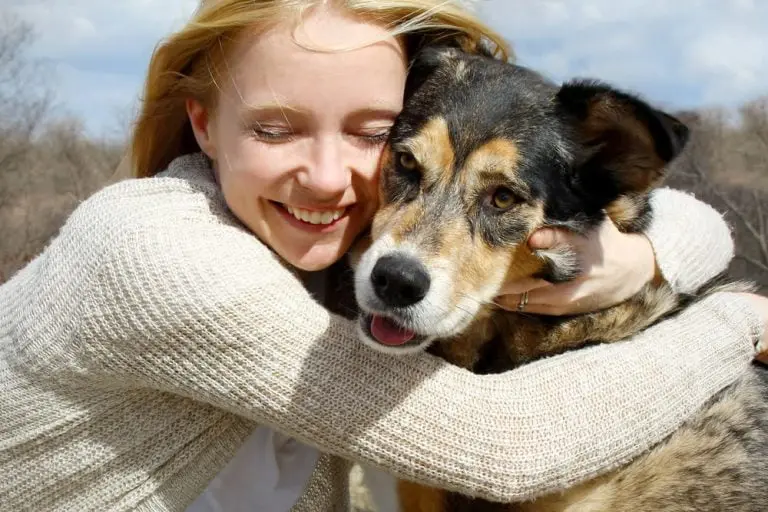 chien affectueux